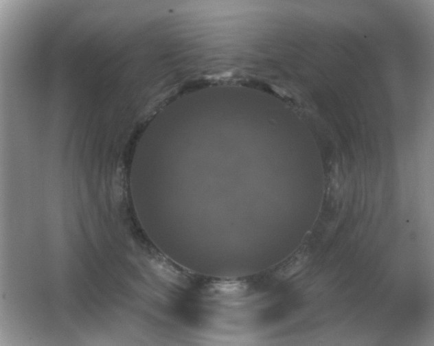 X0000066970659200603241212