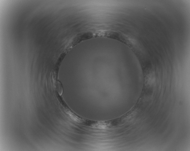 X0000066970661200603241212