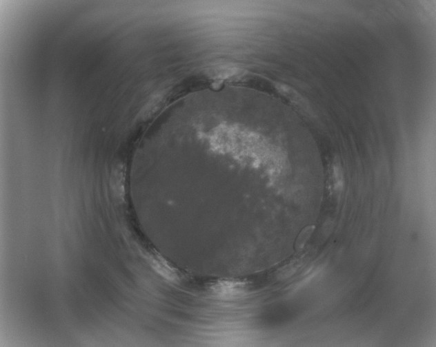 X0000066970664200603241212