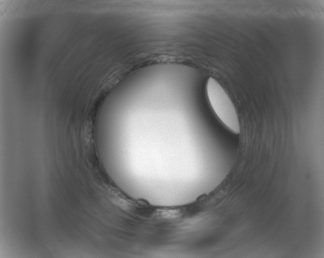 X0000066970665200603241212