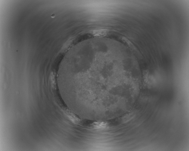 X0000066970667200603241212