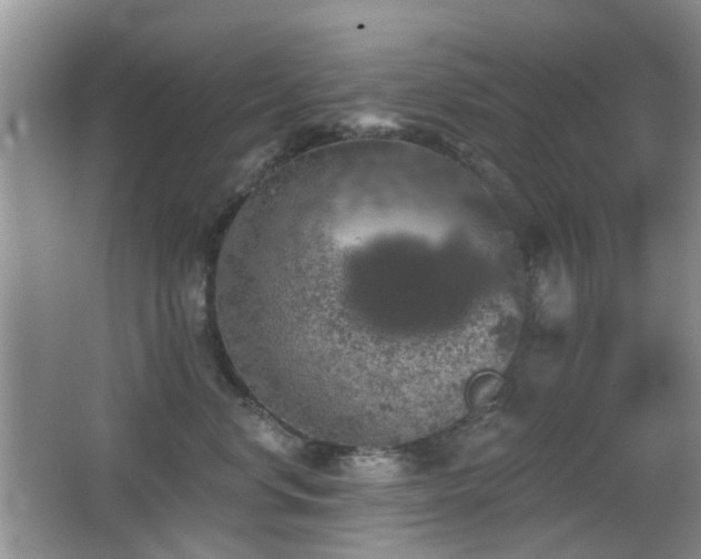 X0000066970668200603241212