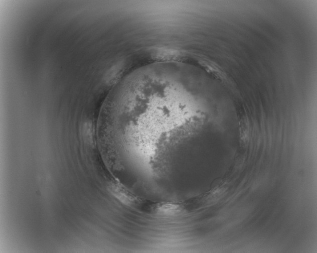 X0000066970669200603241212