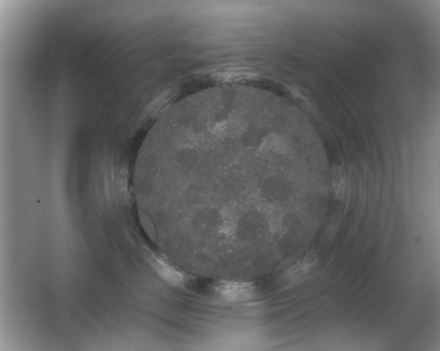 X0000066970670200603241212