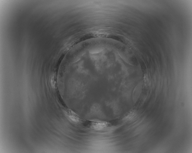 X0000066970671200603241212