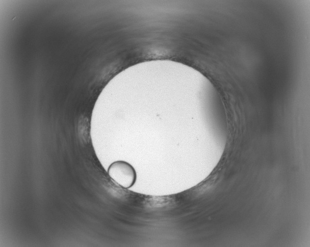 X0000066970672200603241212