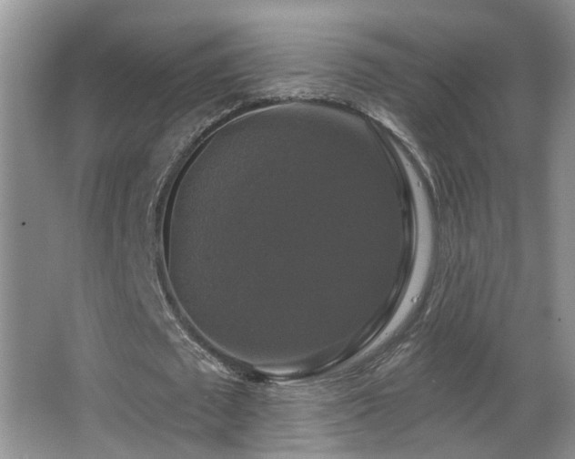 X0000066970673200603241211