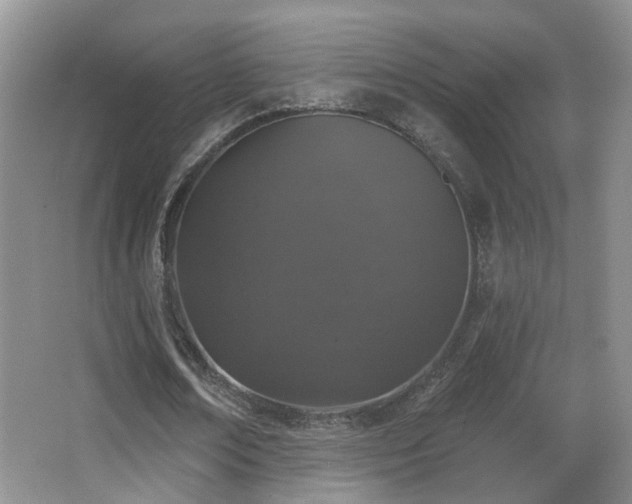 X0000066970674200603241211