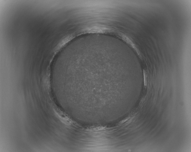 X0000066970675200603241211