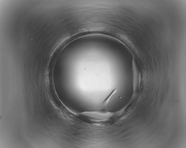 X0000066970676200603241211