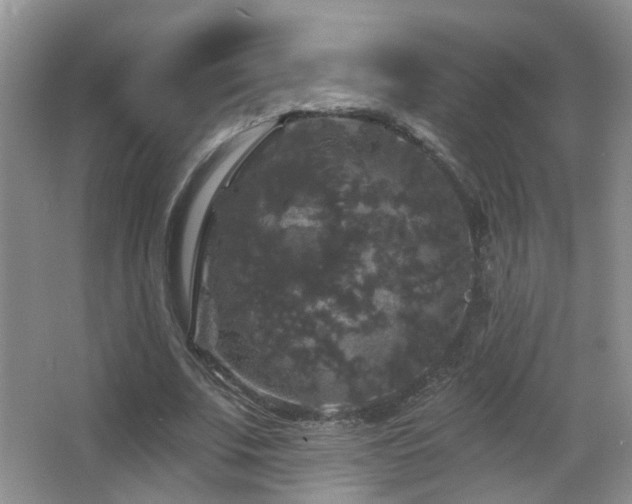 X0000066970679200603241211