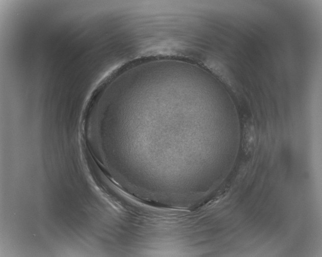 X0000066970680200603241211