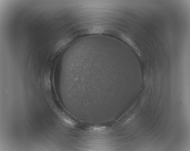 X0000066970681200603241211