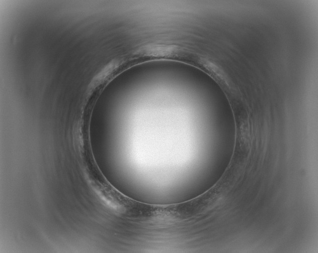 X0000066970682200603241211