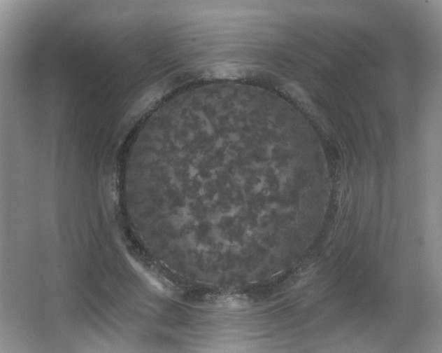 X0000066970683200603241211