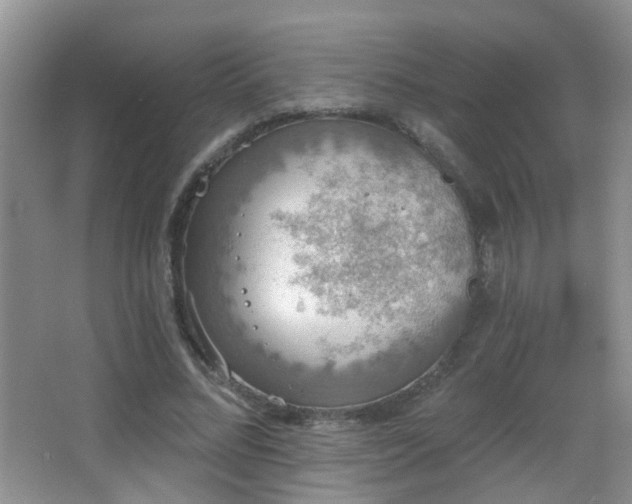 X0000066970684200603241211