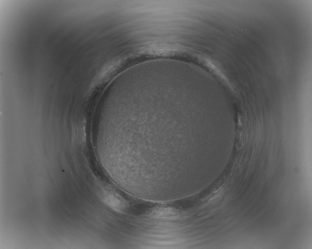 X0000066970685200603241211