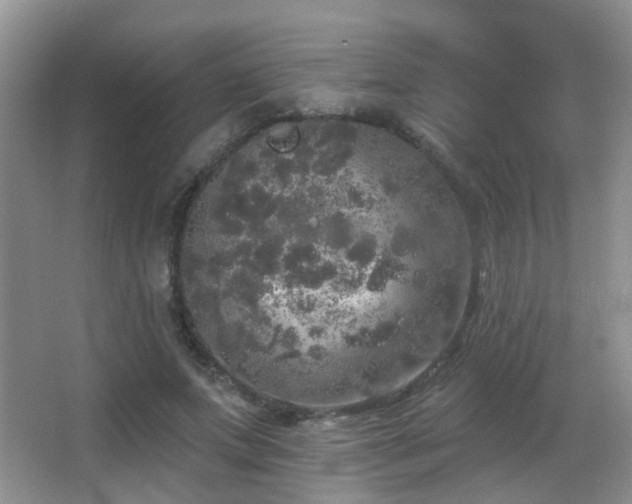 X0000066970687200603241211