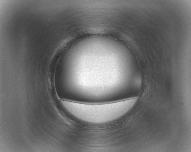 X0000066970688200603241211