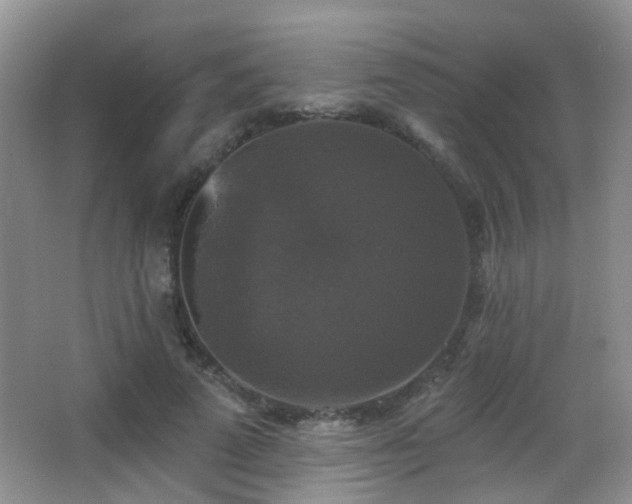 X0000066970689200603241211