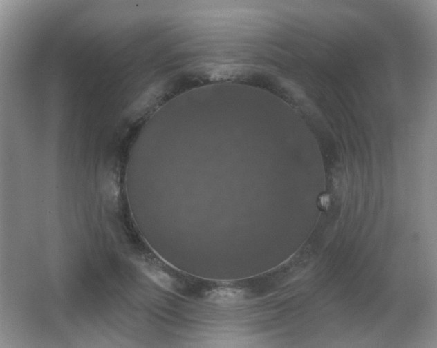 X0000066970691200603241211