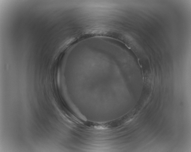 X0000066970692200603241211