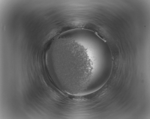 X0000066970693200603241211