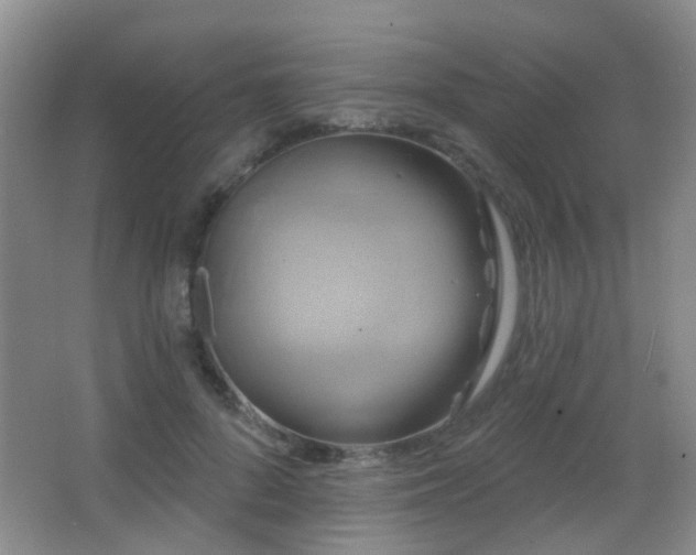 X0000066970696200603241211