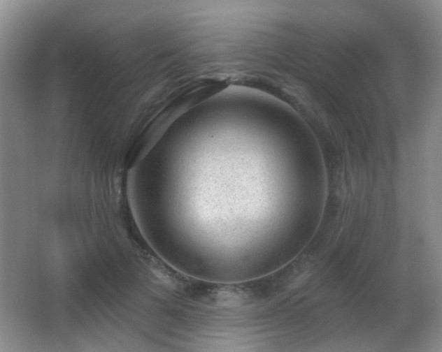 X0000066970697200603241211