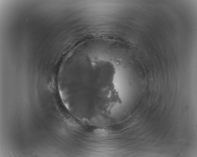 X0000066970699200603241211