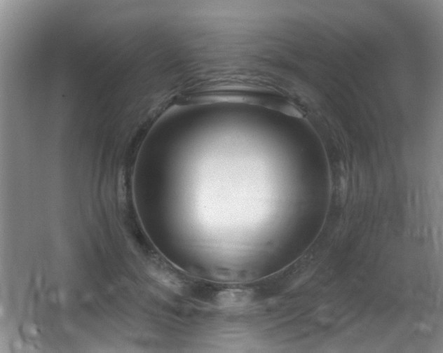 X0000066970700200603241211