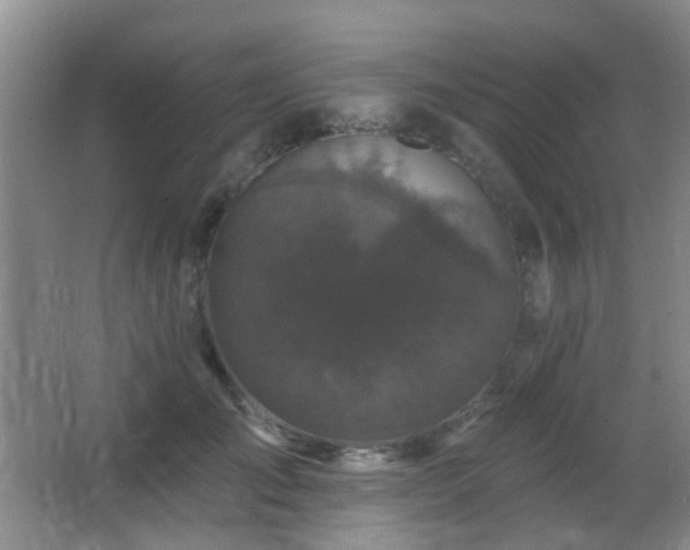 X0000066970701200603241211