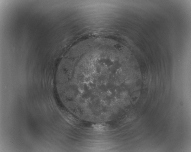 X0000066970703200603241211