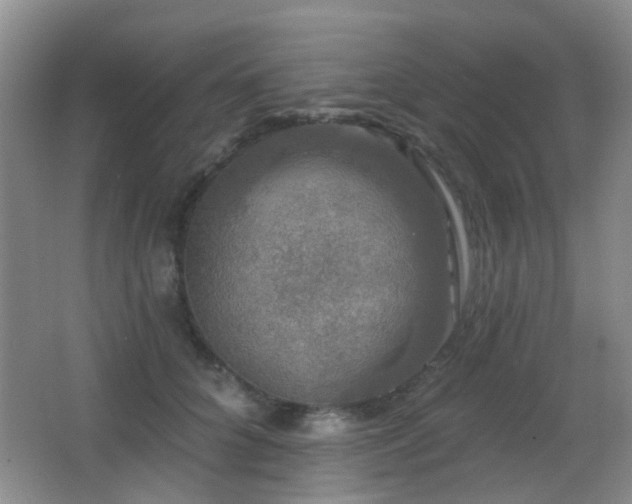 X0000066970704200603241211