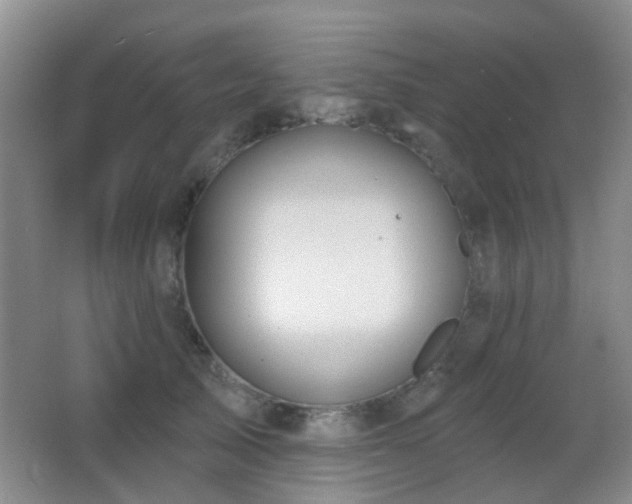 X0000066970705200603241211