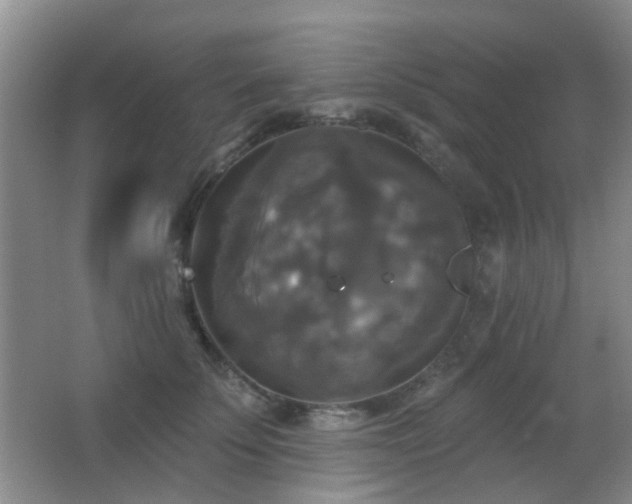 X0000066970707200603241211