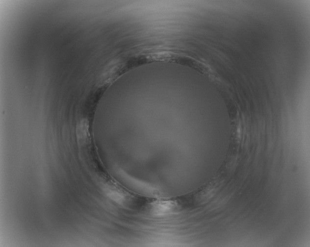 X0000066970711200603241211