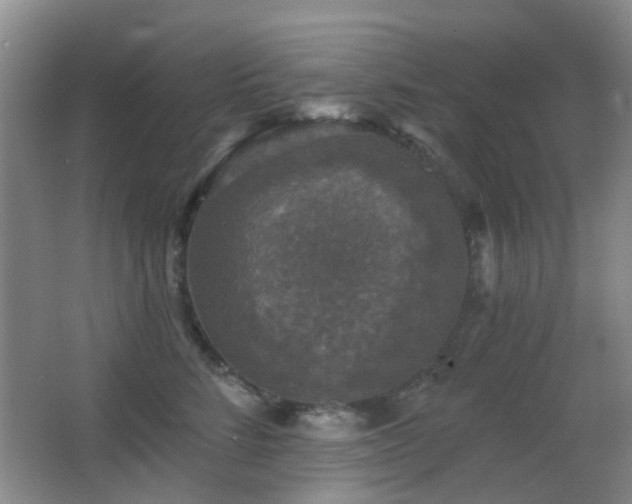 X0000066970712200603241211