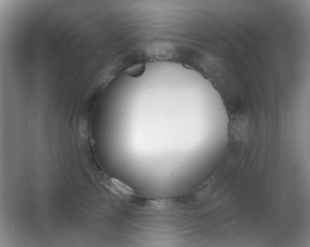 X0000066970713200603241211