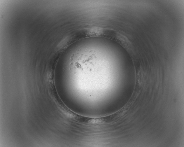 X0000066970714200603241210