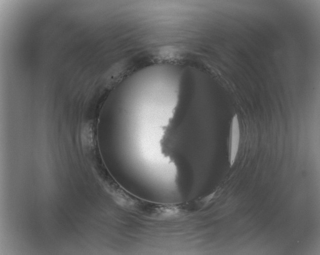 X0000066970715200603241210