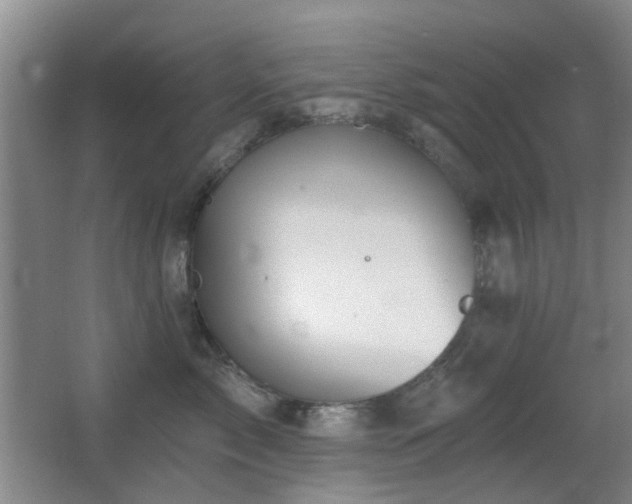 X0000066970717200603241210