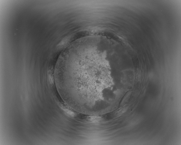 X0000066970719200603241210