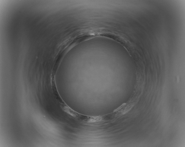 X0000066970720200603241210