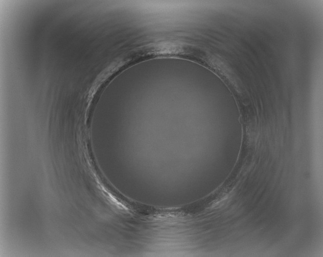 X0000066970721200603241210