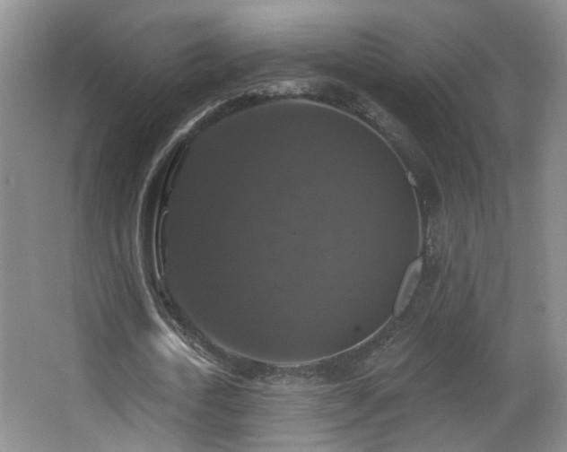 X0000066970722200603241210