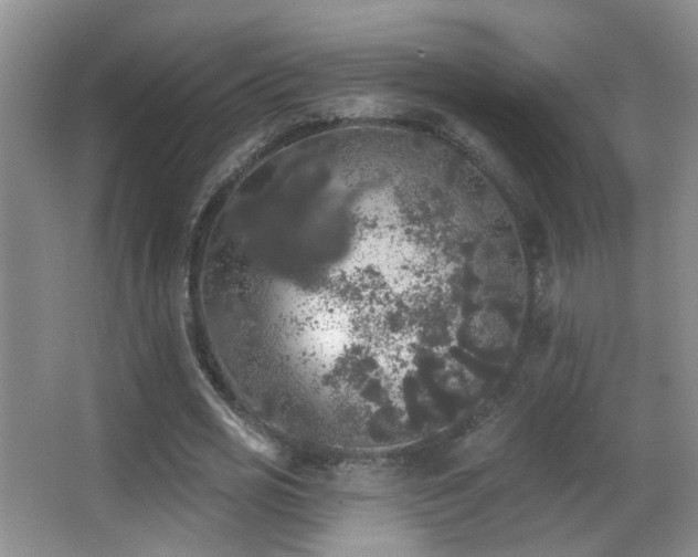 X0000066970725200603241210