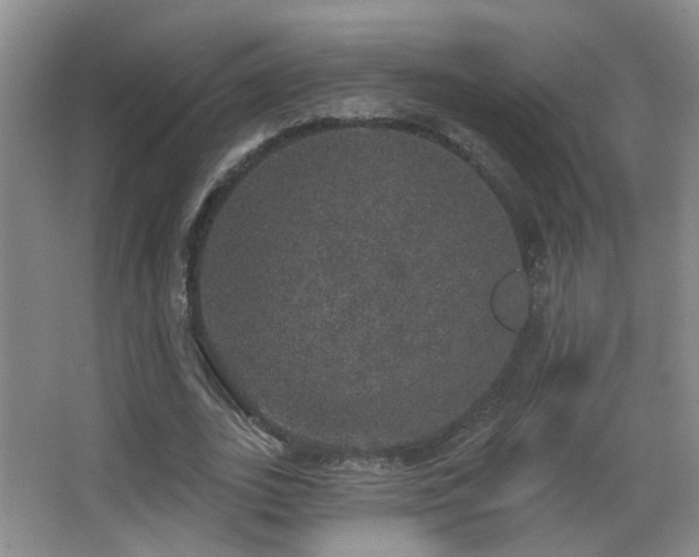 X0000066970727200603241210