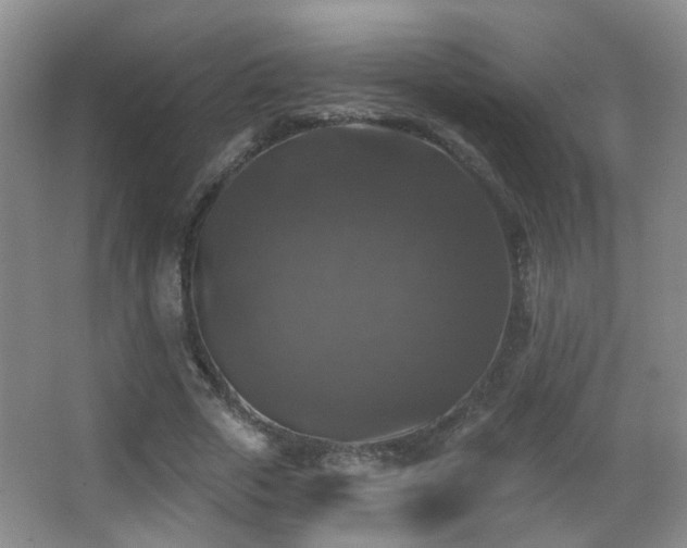 X0000066970729200603241210