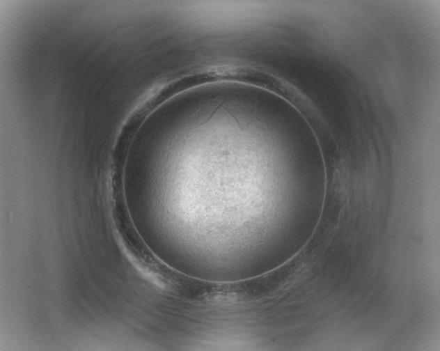 X0000066970730200603241210